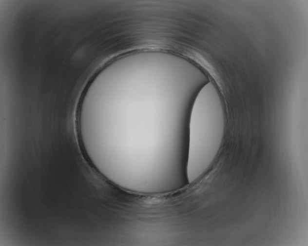 X0000089851283200706281013