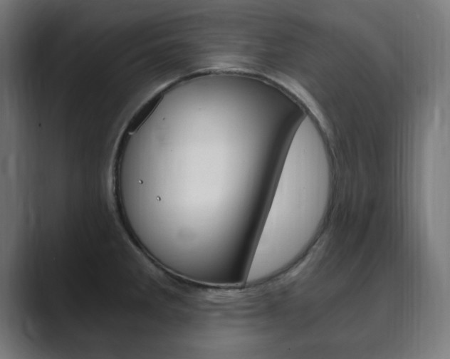 X0000089851285200706281013