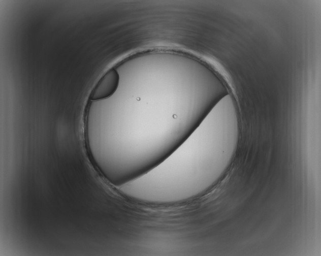 X0000089851287200706281013