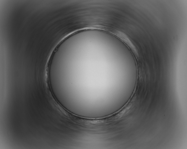 X0000089851292200706281013