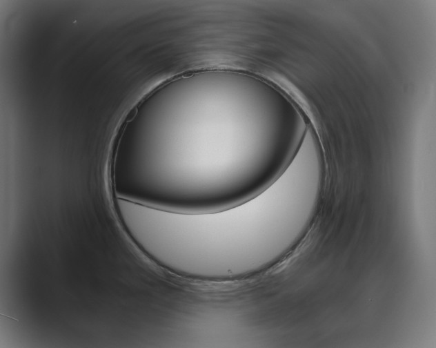 X0000089851293200706281013