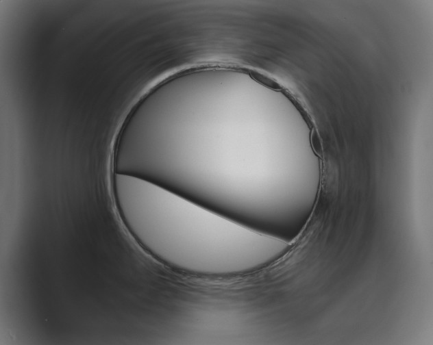 X0000089851295200706281013