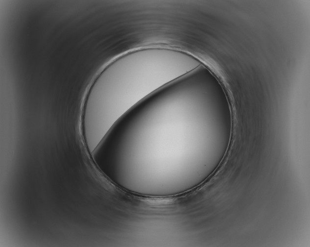 X0000089851296200706281013