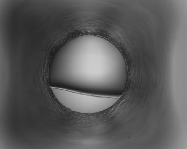 X0000089851297200706281012