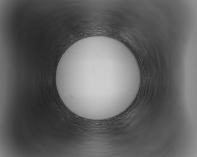 X0000089851298200706281012