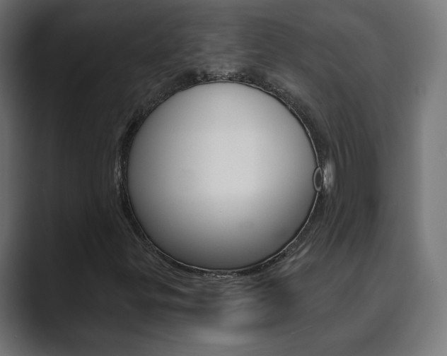 X0000089851299200706281012