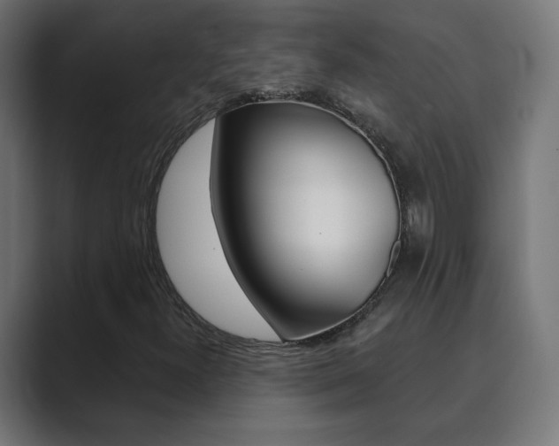 X0000089851300200706281012