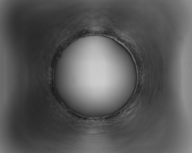 X0000089851301200706281012