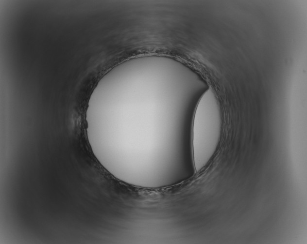 X0000089851302200706281012