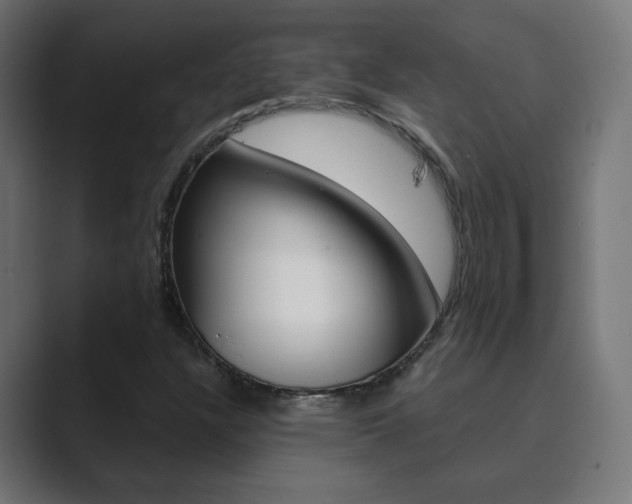 X0000089851304200706281012