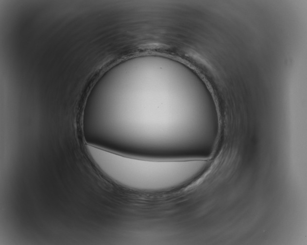 X0000089851305200706281012