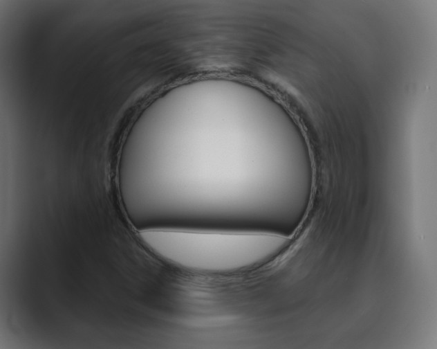 X0000089851306200706281012