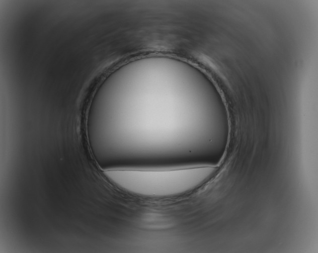 X0000089851307200706281012