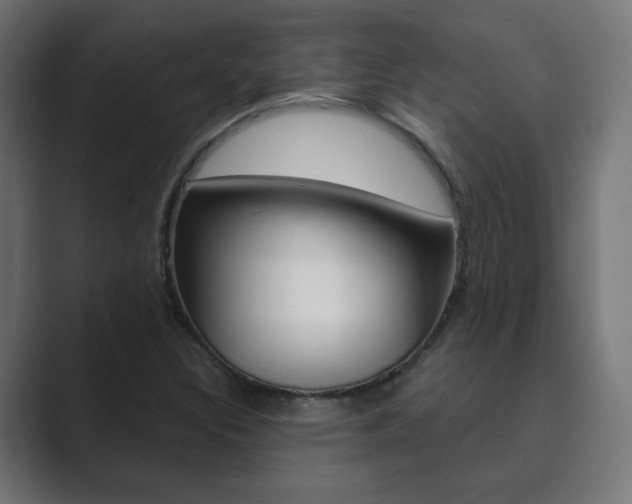 X0000089851308200706281013