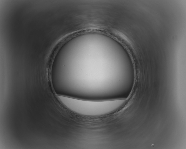 X0000089851310200706281013