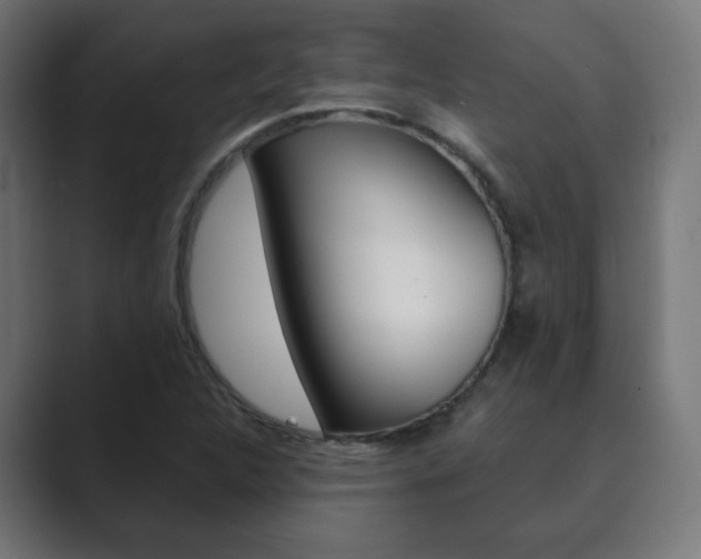 X0000089851312200706281013