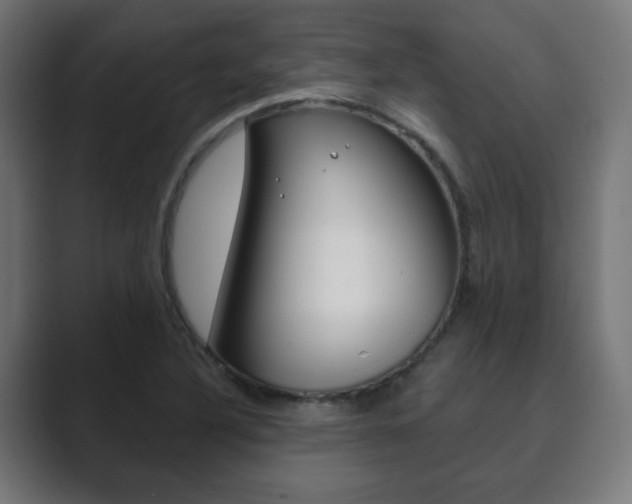 X0000089851316200706281013
