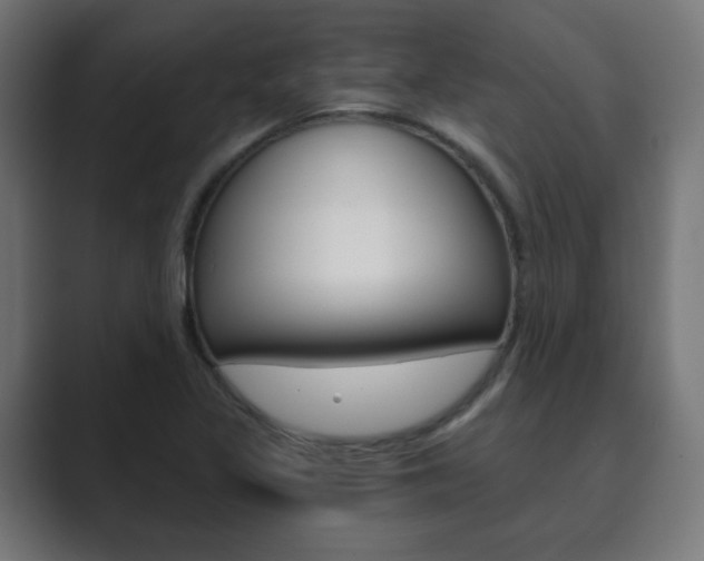 X0000089851317200706281013