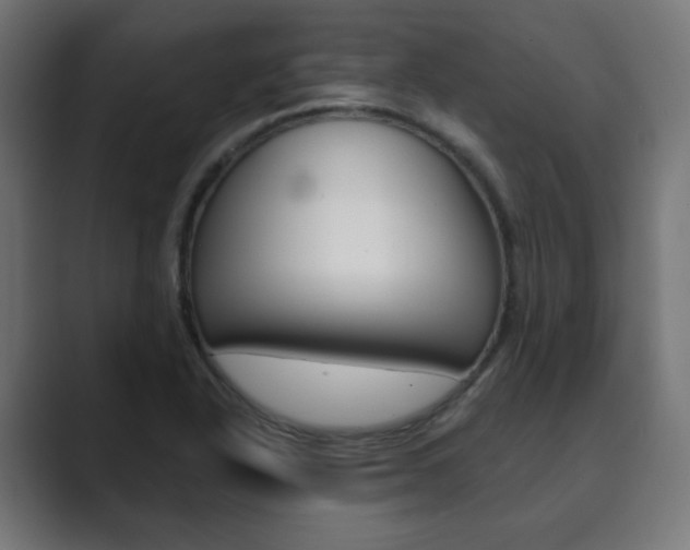 X0000089851318200706281013