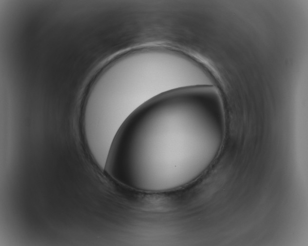 X0000089851319200706281013