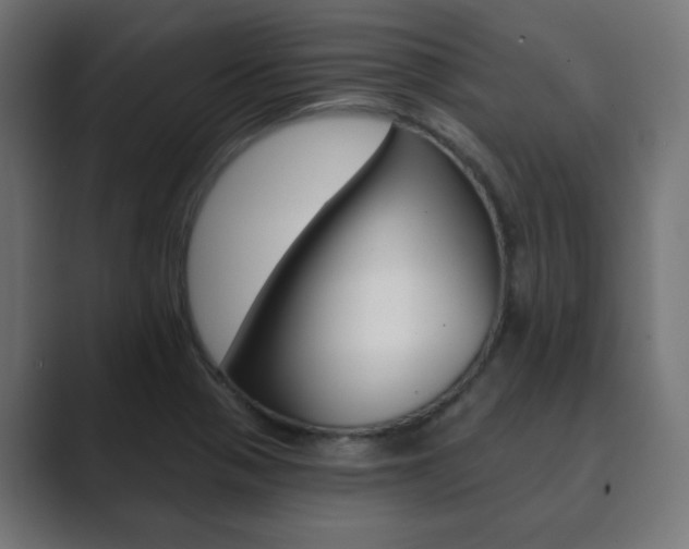 X0000089851321200706281013