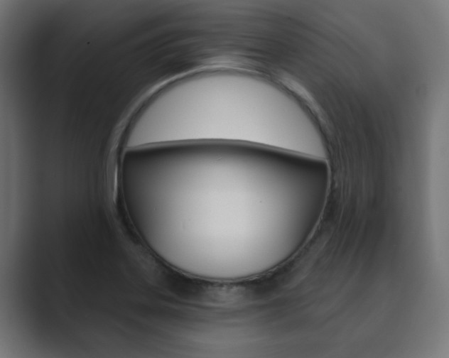 X0000089851323200706281013
