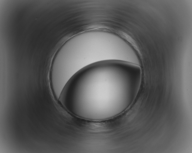X0000089851330200706281013