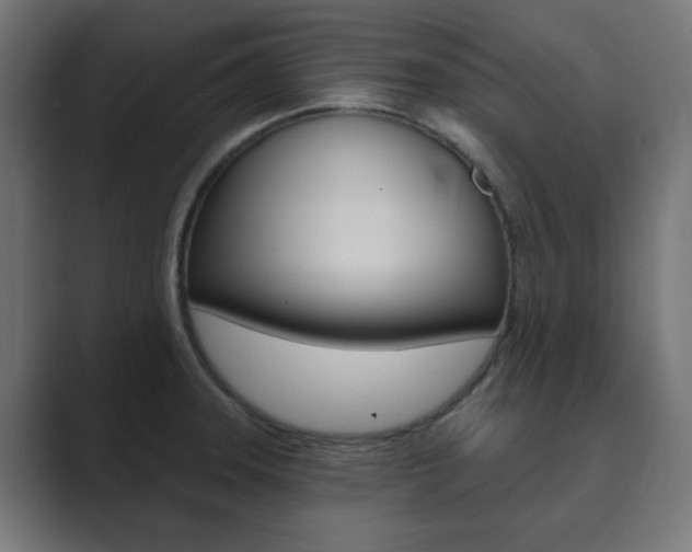 X0000089851331200706281013