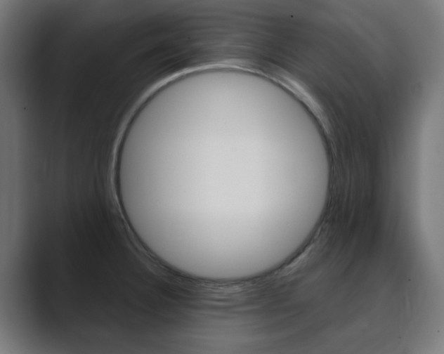 X0000089851332200706281013