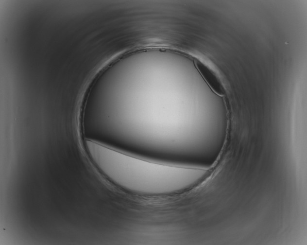 X0000089851333200706281013