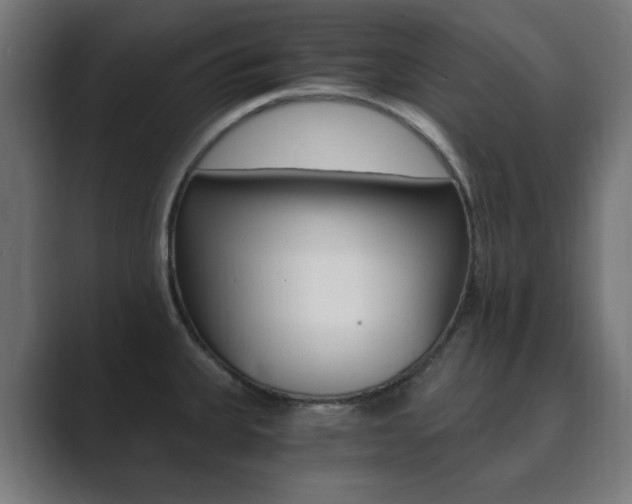 X0000089851335200706281013
