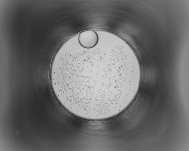 X0000089851338200706281013