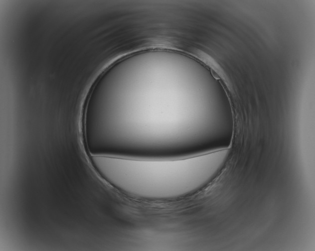 X0000089851339200706281013