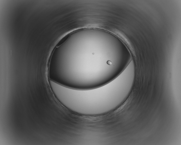 X0000089851340200706281013