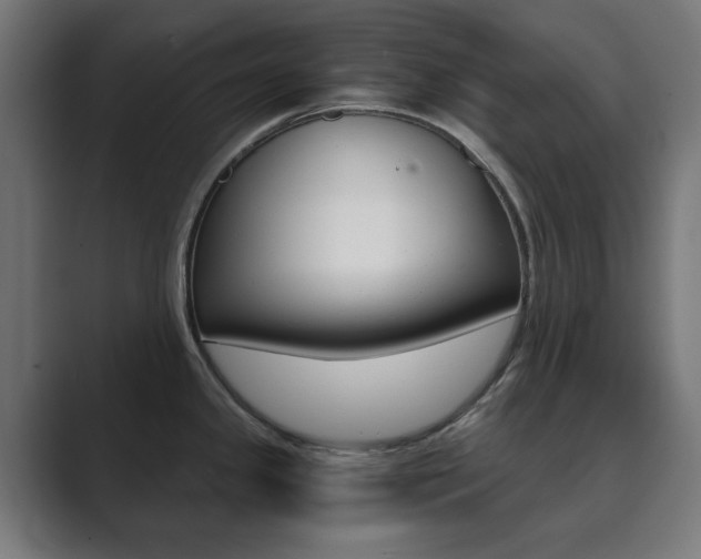 X0000089851341200706281013