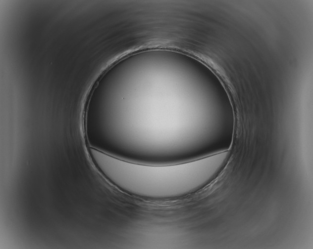 X0000089851342200706281013