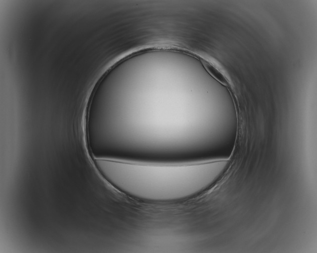X0000089851343200706281013