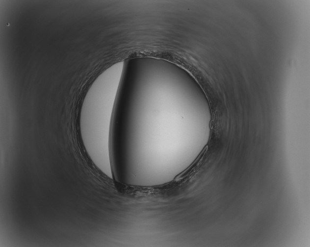 X0000089851345200706281012