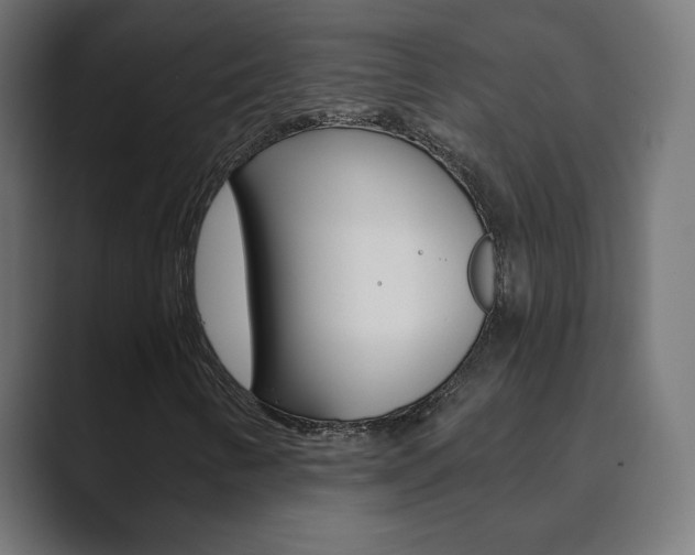 X0000089851346200706281012