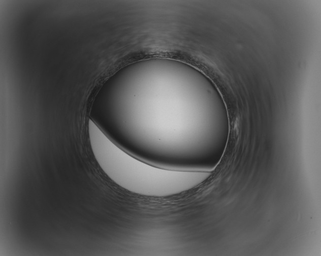 X0000089851348200706281012