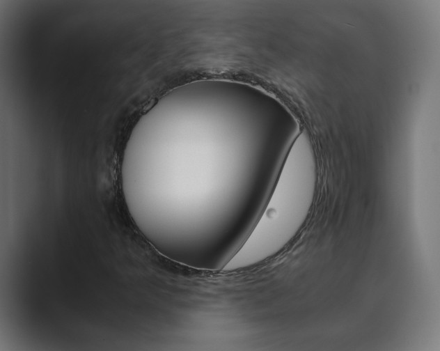 X0000089851349200706281012