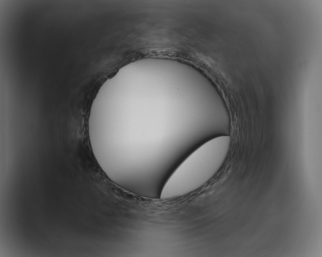 X0000089851350200706281012