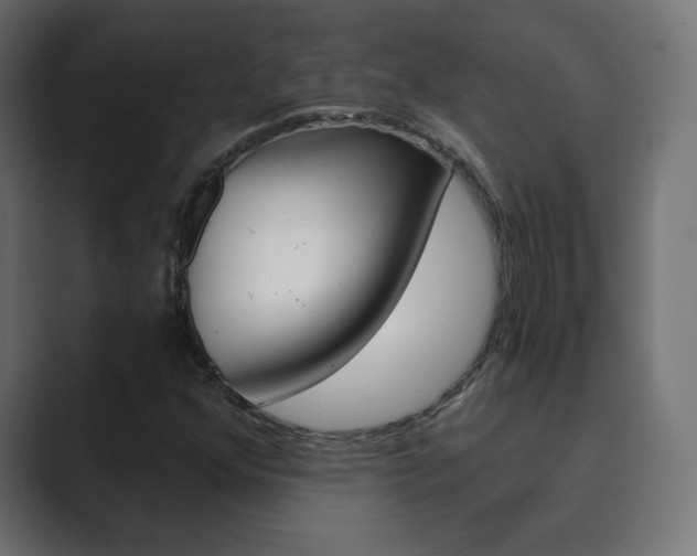 X0000089851352200706281012
