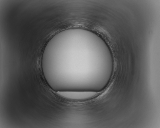 X0000089851353200706281012