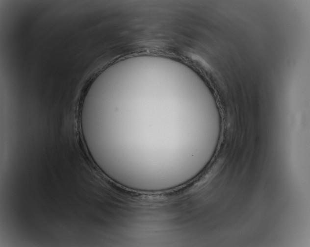 X0000089851354200706281012