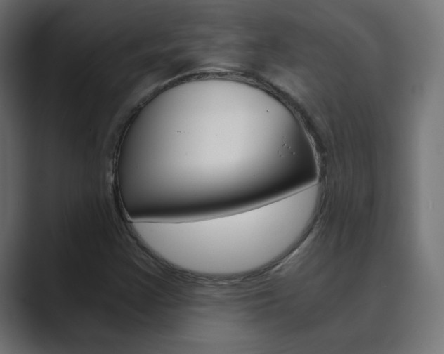 X0000089851355200706281012