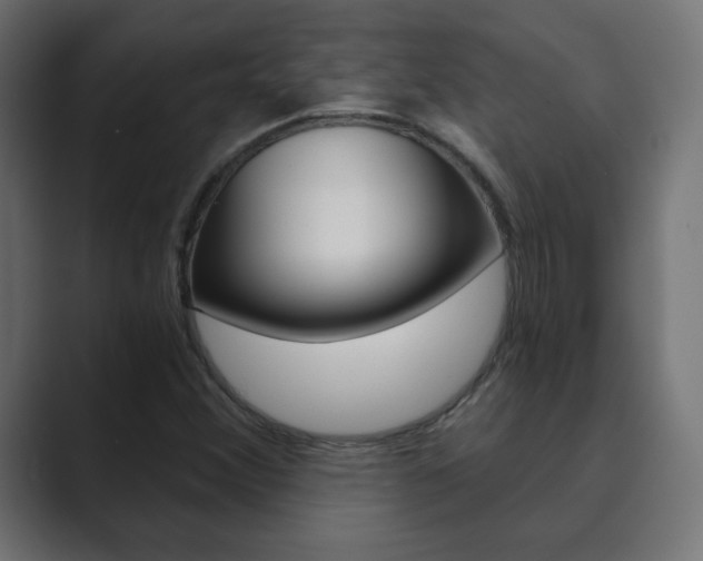 X0000089851356200706281012