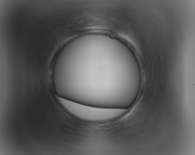 X0000089851357200706281012