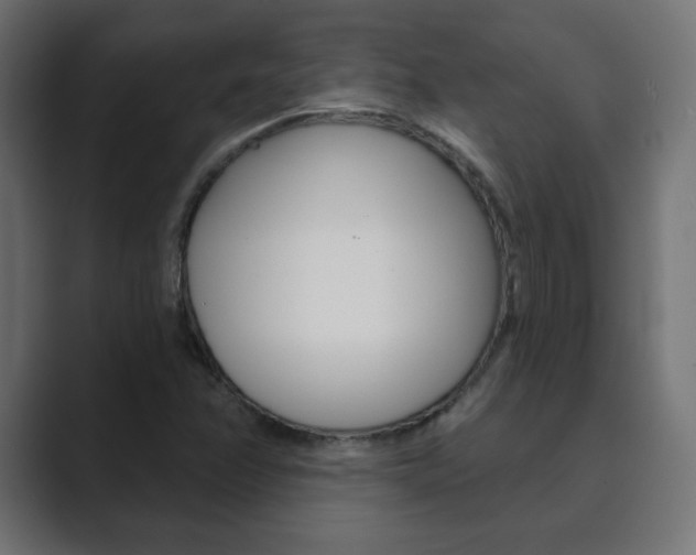 X0000089851358200706281012