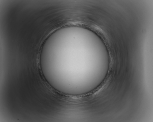 X0000089851361200706281012